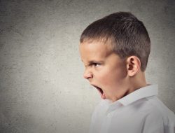 همه چیز در مورد رفتار پرخاش گرایانه کودکان (قسمت دوم)