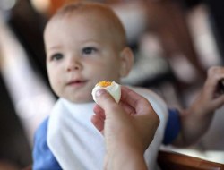 آلرژی به تخم مرغ در کودکان – راه های پیشگیری و درمان