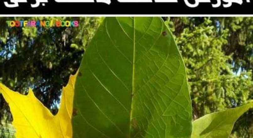 آموزش ساخت ماسک برگی