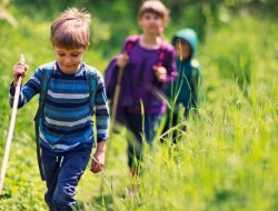 ارتباط بین کودک و طبیعت چگونه شکل می گیرد و چه فوایدی دارد؟