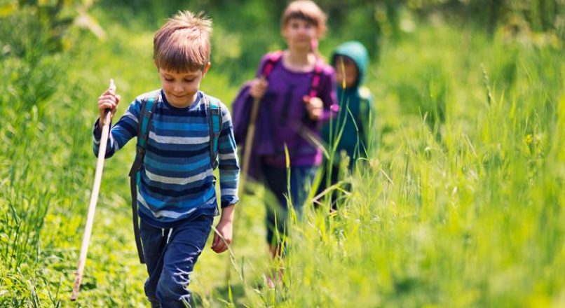 ارتباط بین کودک و طبیعت چگونه شکل می گیرد و چه فوایدی دارد؟