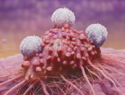 سلامت و زندگی با موضوع سرطان