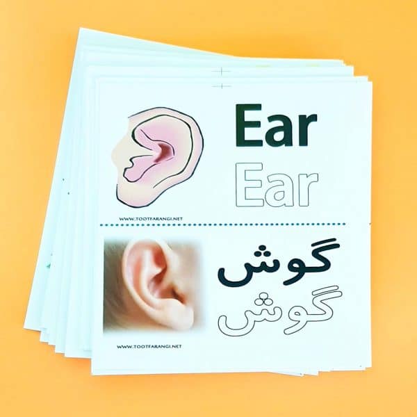 فلش کارت - هفت موضوع